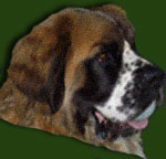 Bernhardinerdame Kr�mel