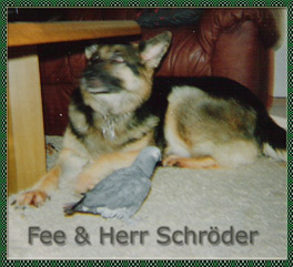 Fee und Herr Schr�der